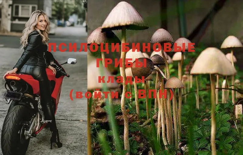 Галлюциногенные грибы MAGIC MUSHROOMS  Краснокаменск 